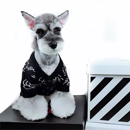 シャネル 犬のセーター