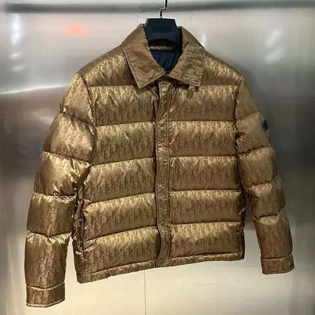 ディオール dior ダウンジャケット