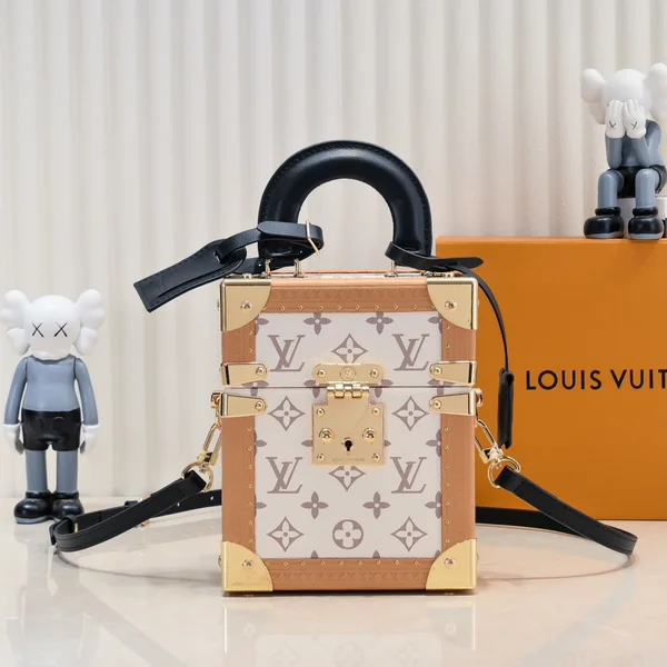 LOUIS VUITTON the Camera Box