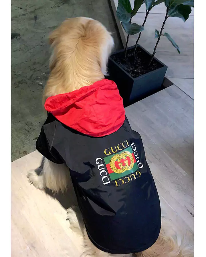 GUCCI 飼い主様用 ペット用服