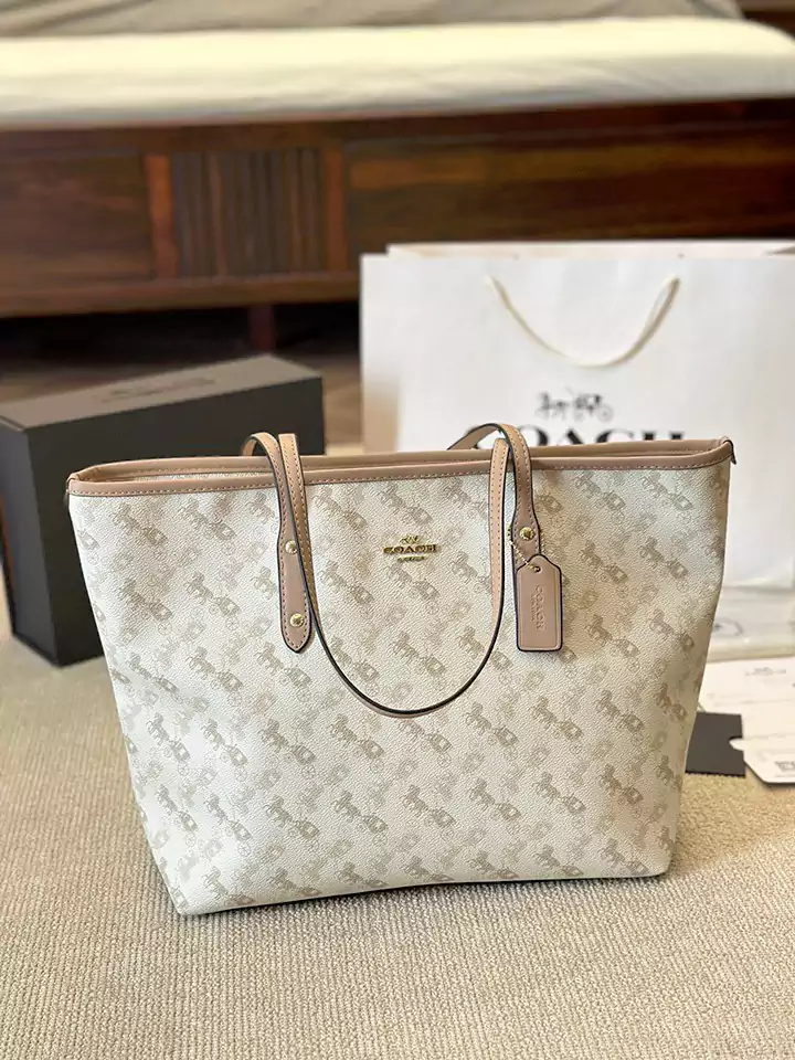 Coach ACE ショルダーバッグ