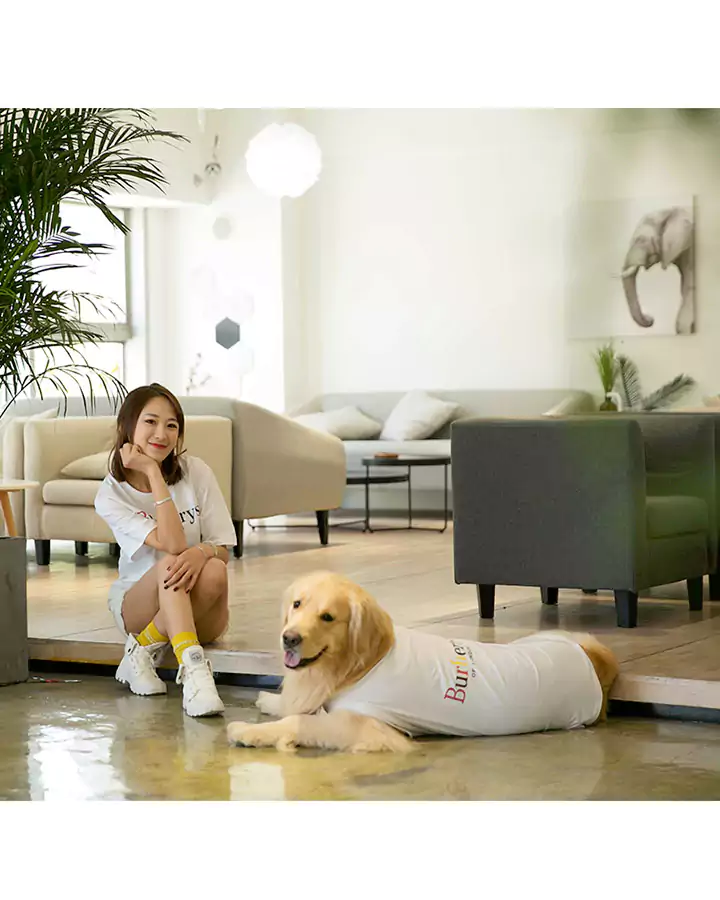 バーバリー 犬と親子服