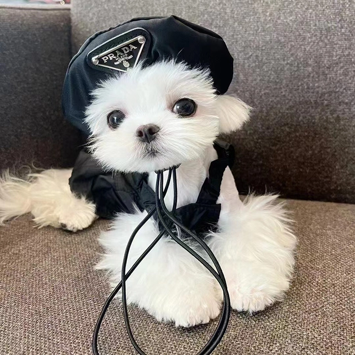 プラダ 犬用 スカートベレー帽